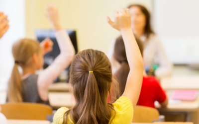 Yes or no wheel for classroom activities: 6 ways teachers can use it
